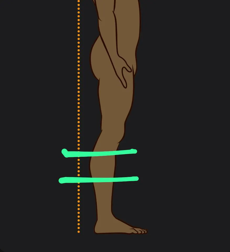 Diagram showing where to measure the calf