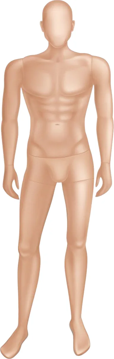Front view of the body for taking clothing measurements